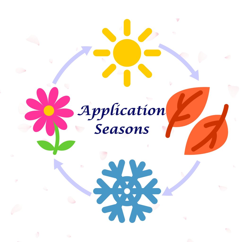 Graduate School Application Seasons: The Best Time to Apply for Admissions, Scholarships, and Assistantships